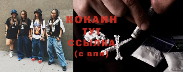 соль ск Алзамай