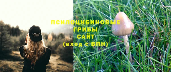 соль ск Алзамай