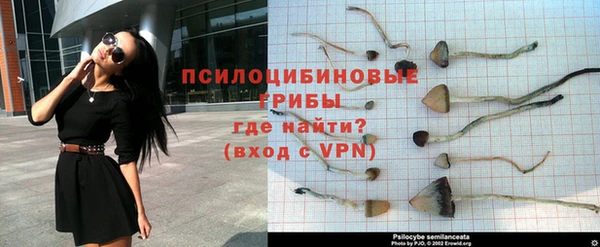 мескалин Михайловка