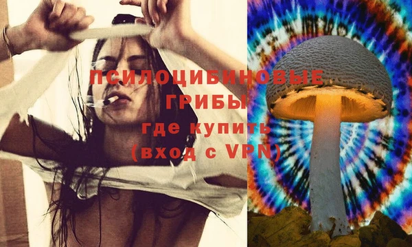 Альфа ПВП Алексеевка