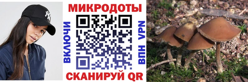 магазин продажи наркотиков Томск Галлюциногенные грибы Psilocybe