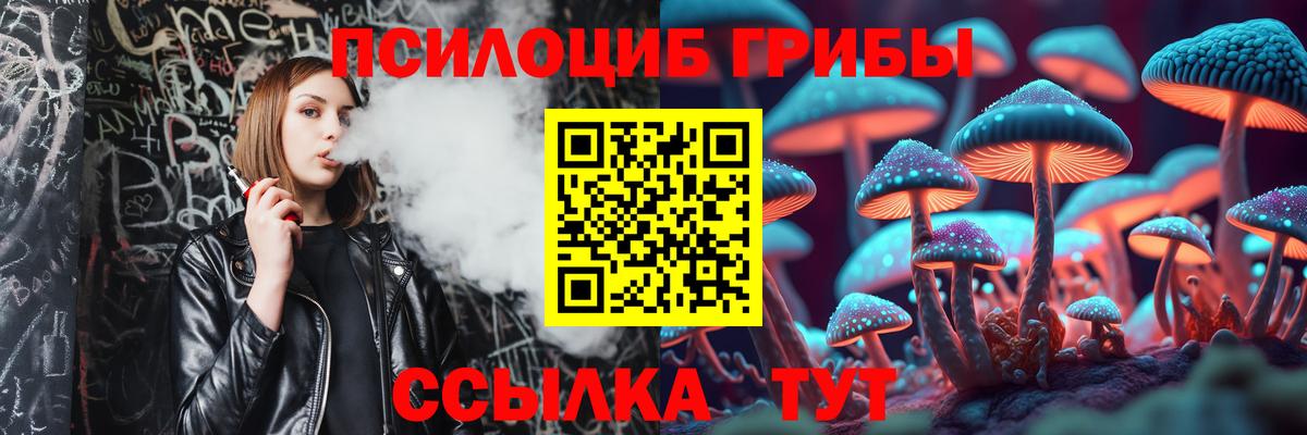 Галлюциногенные грибы мицелий  Галлюциногенные грибы Psilocybe  Томск  купить наркоту  Вход с VPN 