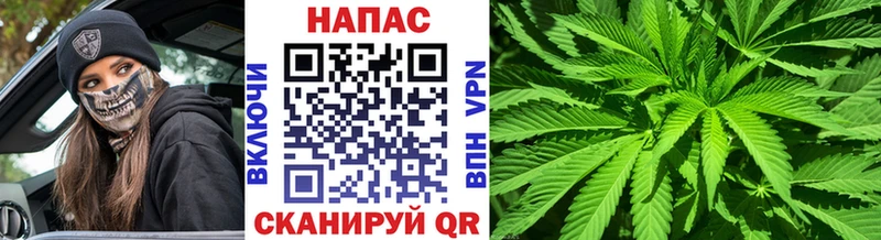 продажа наркотиков mega зеркало МАРИХУАНА ГИДРОПОН Томск